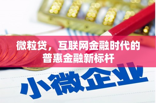 旺苍微粒贷，互联网金融时代的普惠金融新标杆