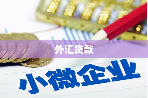 旺苍外汇贷款