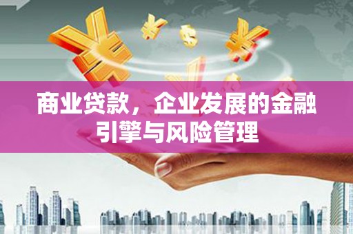 旺苍商业贷款，企业发展的金融引擎与风险管理