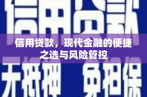旺苍信用贷款，现代金融的便捷之选与风险管控