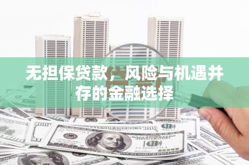 旺苍无担保贷款，风险与机遇并存的金融选择