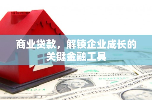旺苍商业贷款，解锁企业成长的关键金融工具