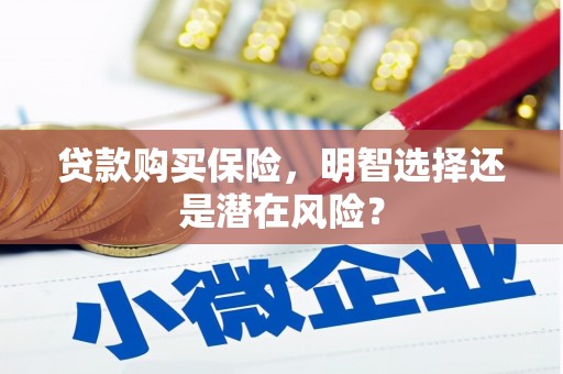 旺苍贷款购买保险，明智选择还是潜在风险？