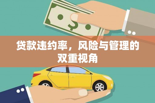 旺苍贷款违约率，风险与管理的双重视角