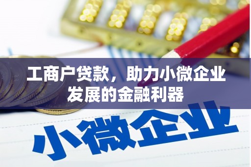 旺苍工商户贷款，助力小微企业发展的金融利器