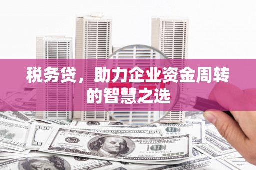 旺苍税务贷，助力企业资金周转的智慧之选
