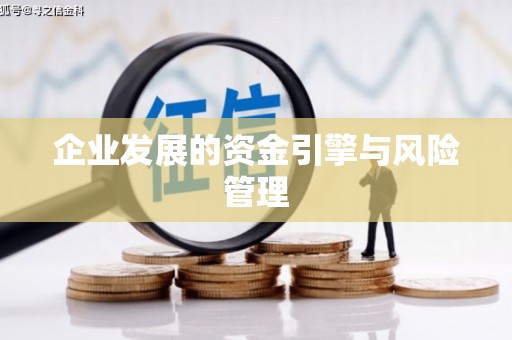 旺苍企业发展的资金引擎与风险管理
