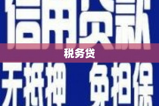 旺苍税务贷