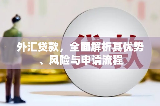 旺苍外汇贷款，全面解析其优势、风险与申请流程