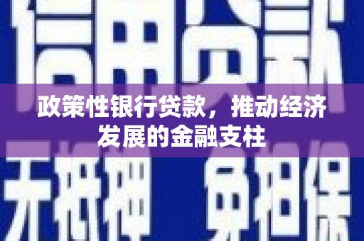 旺苍政策性银行贷款，推动经济发展的金融支柱