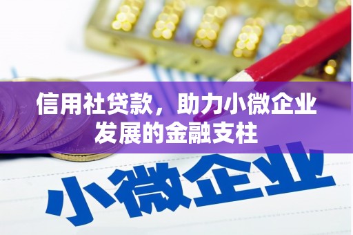 旺苍信用社贷款，助力小微企业发展的金融支柱