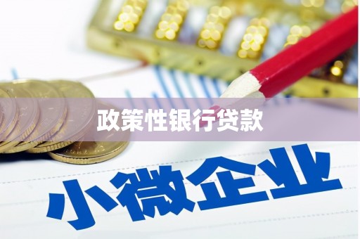旺苍政策性银行贷款
