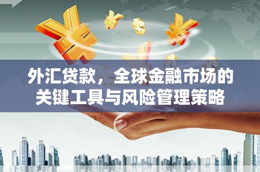 旺苍外汇贷款，全球金融市场的关键工具与风险管理策略