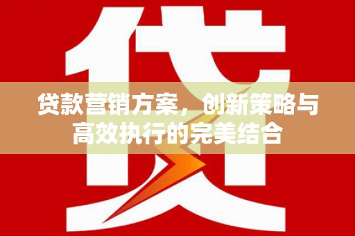 旺苍贷款营销方案，创新策略与高效执行的完美结合