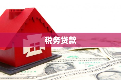 旺苍税务贷款