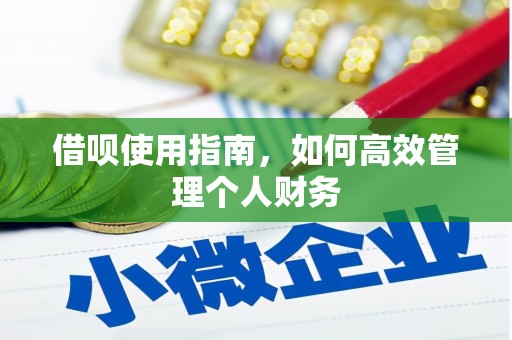 旺苍借呗使用指南，如何高效管理个人财务