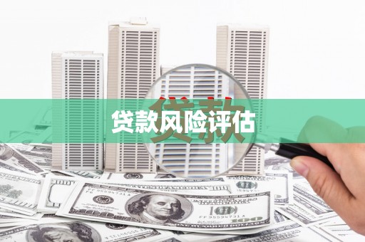 旺苍贷款风险评估