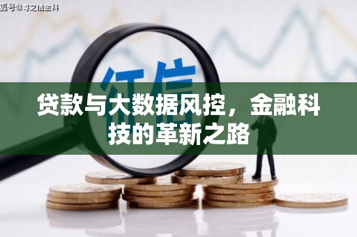 旺苍贷款与大数据风控，金融科技的革新之路