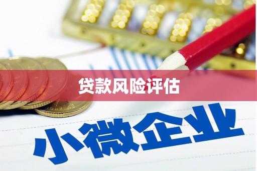 旺苍贷款风险评估