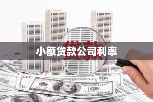 旺苍小额贷款公司利率
