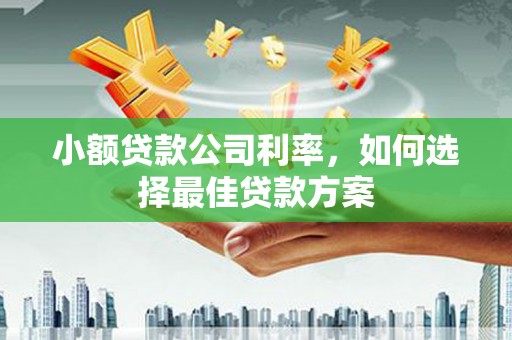 旺苍小额贷款公司利率，如何选择最佳贷款方案