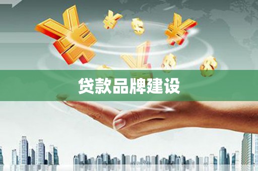 旺苍贷款品牌建设