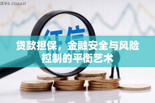 旺苍贷款担保，金融安全与风险控制的平衡艺术