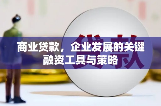 旺苍商业贷款，企业发展的关键融资工具与策略