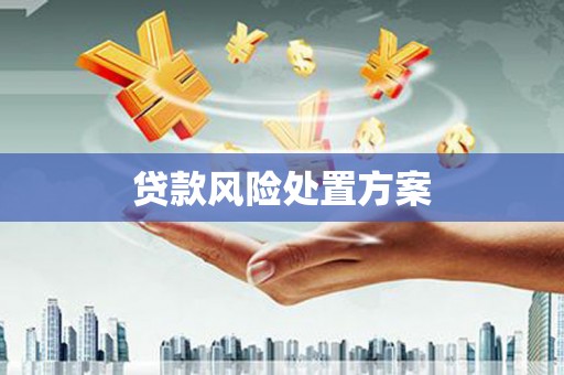 旺苍贷款风险处置方案