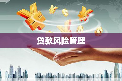 旺苍贷款风险管理