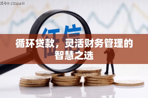 旺苍循环贷款，灵活财务管理的智慧之选