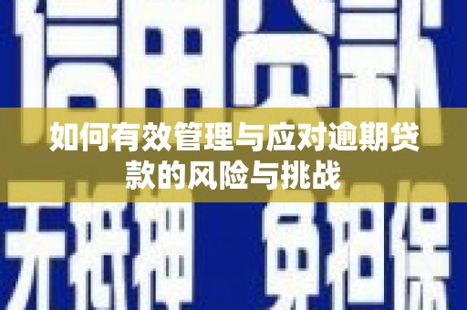 旺苍如何有效管理与应对逾期贷款的风险与挑战