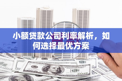 旺苍小额贷款公司利率解析，如何选择最优方案