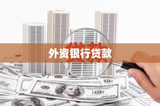 旺苍外资银行贷款