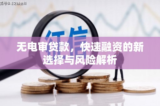 旺苍无电审贷款，快速融资的新选择与风险解析