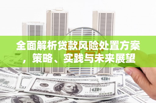 旺苍全面解析贷款风险处置方案，策略、实践与未来展望