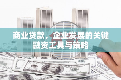 旺苍商业贷款，企业发展的关键融资工具与策略