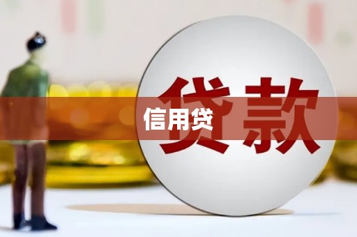 旺苍信用贷