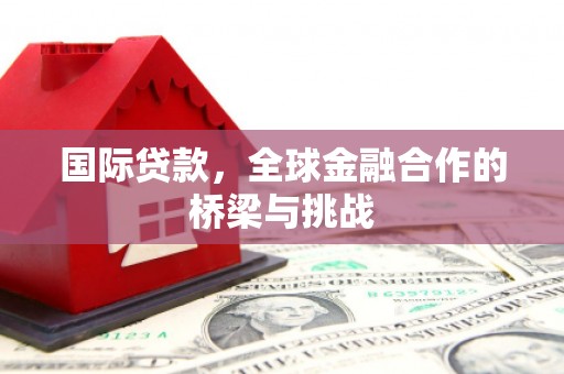 旺苍国际贷款，全球金融合作的桥梁与挑战