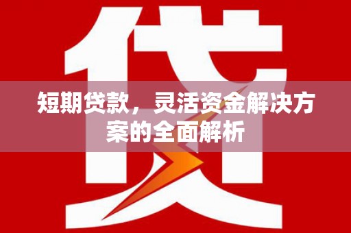 旺苍短期贷款，灵活资金解决方案的全面解析