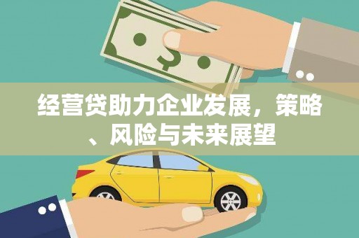 旺苍经营贷助力企业发展，策略、风险与未来展望
