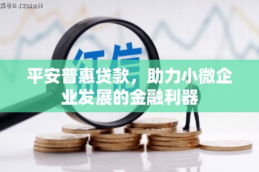 旺苍平安普惠贷款，助力小微企业发展的金融利器