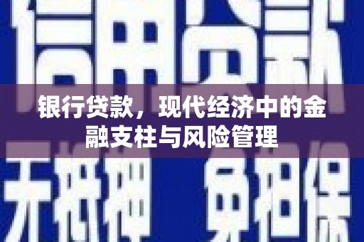 旺苍银行贷款，现代经济中的金融支柱与风险管理