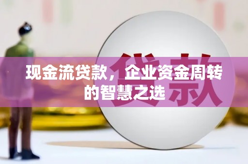 旺苍现金流贷款，企业资金周转的智慧之选