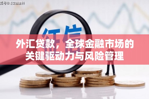 旺苍外汇贷款，全球金融市场的关键驱动力与风险管理