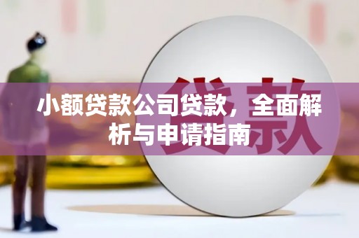 旺苍小额贷款公司贷款，全面解析与申请指南