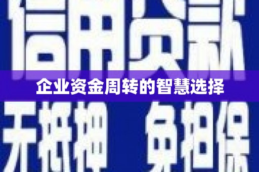 旺苍企业资金周转的智慧选择