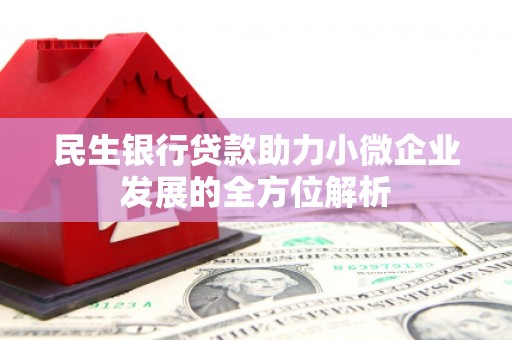 旺苍民生银行贷款助力小微企业发展的全方位解析
