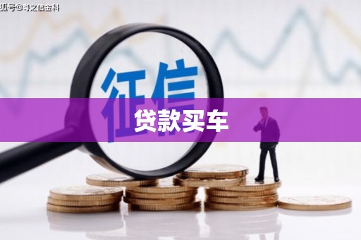 旺苍贷款买车