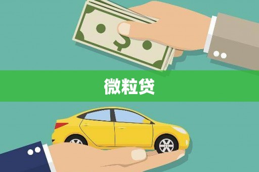 旺苍微粒贷